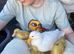 Stunning White Call Ducklings (4 Weeks Old) – Ready Early July
