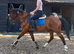 Teenagers dream / Future all rounder