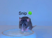 Beautiful mixed gender baby rats