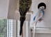 Budgie for sale