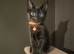 *2 BOYS LEFT* Playful Black Kittens
