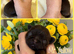 True chocolate imperial Shihtzu puppies