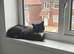 Lovely girl looking for a good home