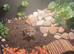 2 tortoises and set up