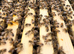 6 Frame Overwintered National Nuc of Bees 2027 Spring