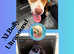 Pet Pregnancy Ultrasound Scanner