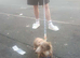 Miniature Isabella dachshund boy