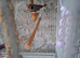1 Pretty male Zebra Finch looking for a new home