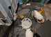 Two male guniea pigs for sale