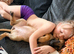 3 Belgian Malinois puppies