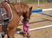 Lr/fr/pc/happy hacker/allrounder/show pony