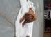 Beautiful cocker spaniels