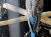 Many black wing budgies
