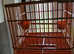 Mule cage