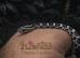 Baby Corn Snakes Various Morphs