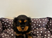 Cavalier King Charles Spaniel Puppies