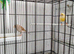 A Stunning Pair Of Canaries With Cage