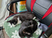 3 RESCUED CATS & KITTENS – LOOKING FOR LOVING FOREVER HOMES