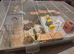 Female hamster