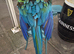 HyBrid Macaw