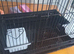 Large bird cage