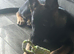 4 month old GSD
