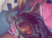 Female tabby cat