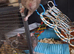 3 male rats dad and 2 sons