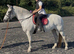 11.3/12H - 16Yo - Grey - Mare - Ride & Drive