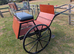 2 wheel exercise/pleasure carriage