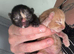 Two kittens Female and male