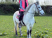 REDUCED Brave Fun Welsh Section A