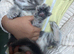 6 beautiful kittens for sale