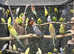 BEAUTIFUL BUDGIES AVAILABLE NOW!