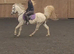 Beautiful fun gelding