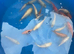 young koi for sale