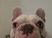 SweetBoy Hugo ♡