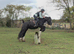 Betty the Turbo Cob