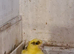 Lovely birds