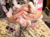 Beautiful kittens ready to leave 23/08/26