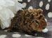 Texel x Lunkarya boar