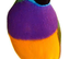 2026 Closed Ring Gouldian Finch Cock Birds