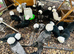 POINT OF LAY HENS - VARIOUS BREEDS - READY NOW