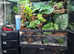 Zoo Med 90--45--90 Paludarium, Cabinet & Accessories