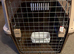 Large, lightweight: acrylic plastic & metal front opening animal flight/home/show cage.
