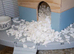 Syrian hamster and cage / food/bedding