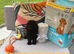 Only one Pup Left Ready 3-7-2026 from Extensively DNA & Health Tested Parents