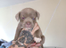 Puppies for sale