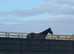 A genuine young horse with an exciting future ahead.