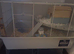 Syrian hamster and cage / food/bedding